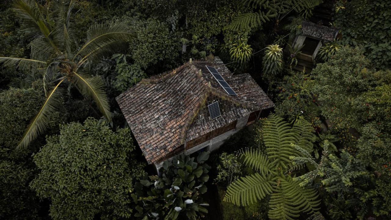 Kebun Kita Eco Lodge Padangan  Eksteriør bilde