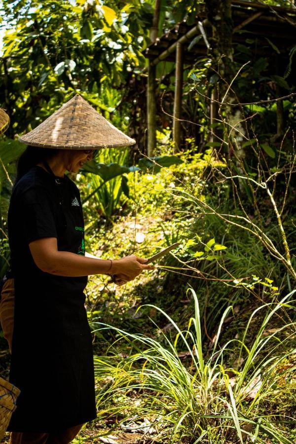Kebun Kita Eco Lodge Padangan  Eksteriør bilde