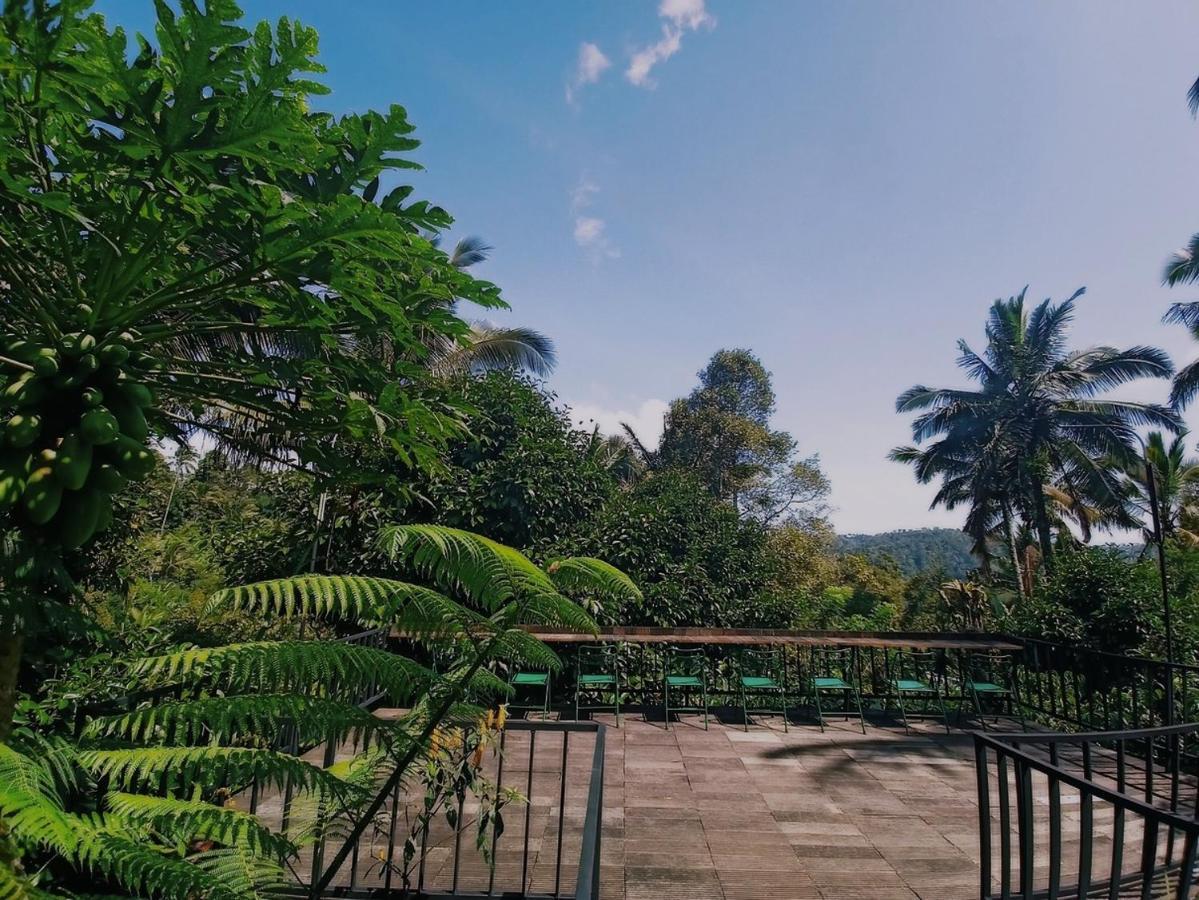 Kebun Kita Eco Lodge Padangan  Eksteriør bilde