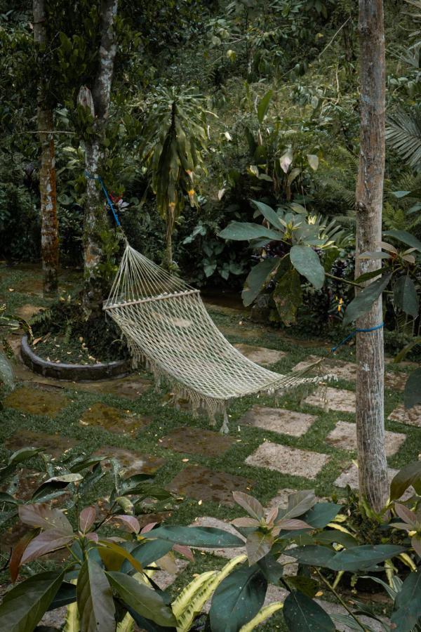 Kebun Kita Eco Lodge Padangan  Eksteriør bilde