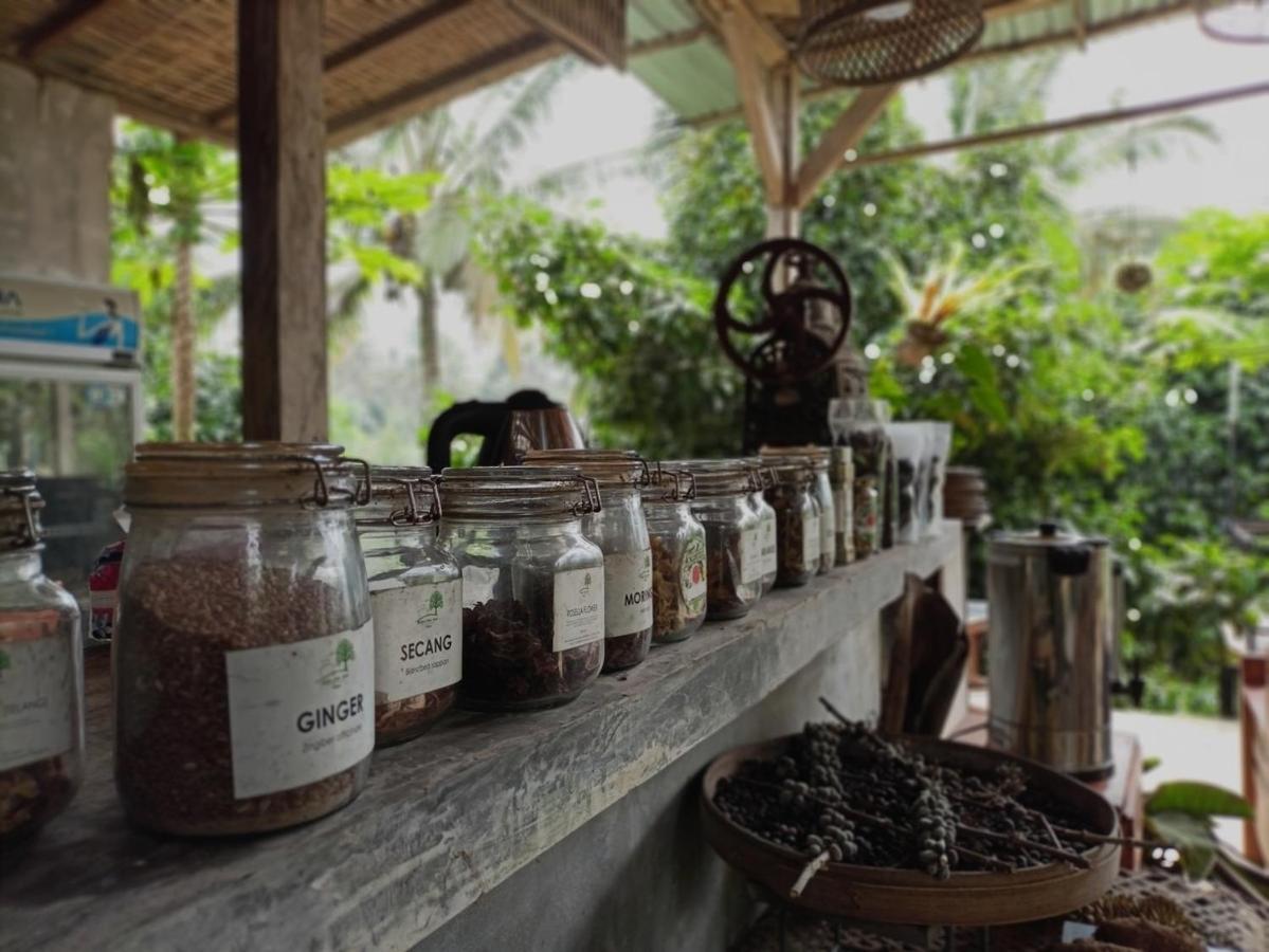 Kebun Kita Eco Lodge Padangan  Eksteriør bilde
