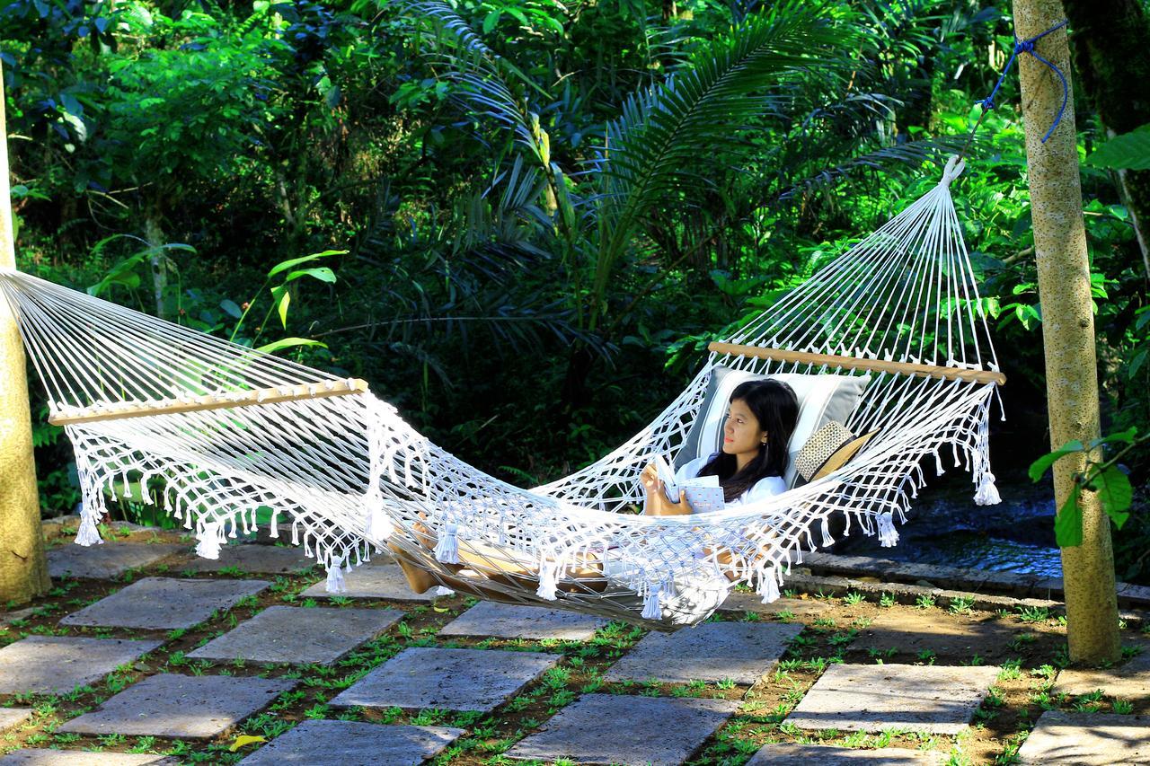 Kebun Kita Eco Lodge Padangan  Eksteriør bilde