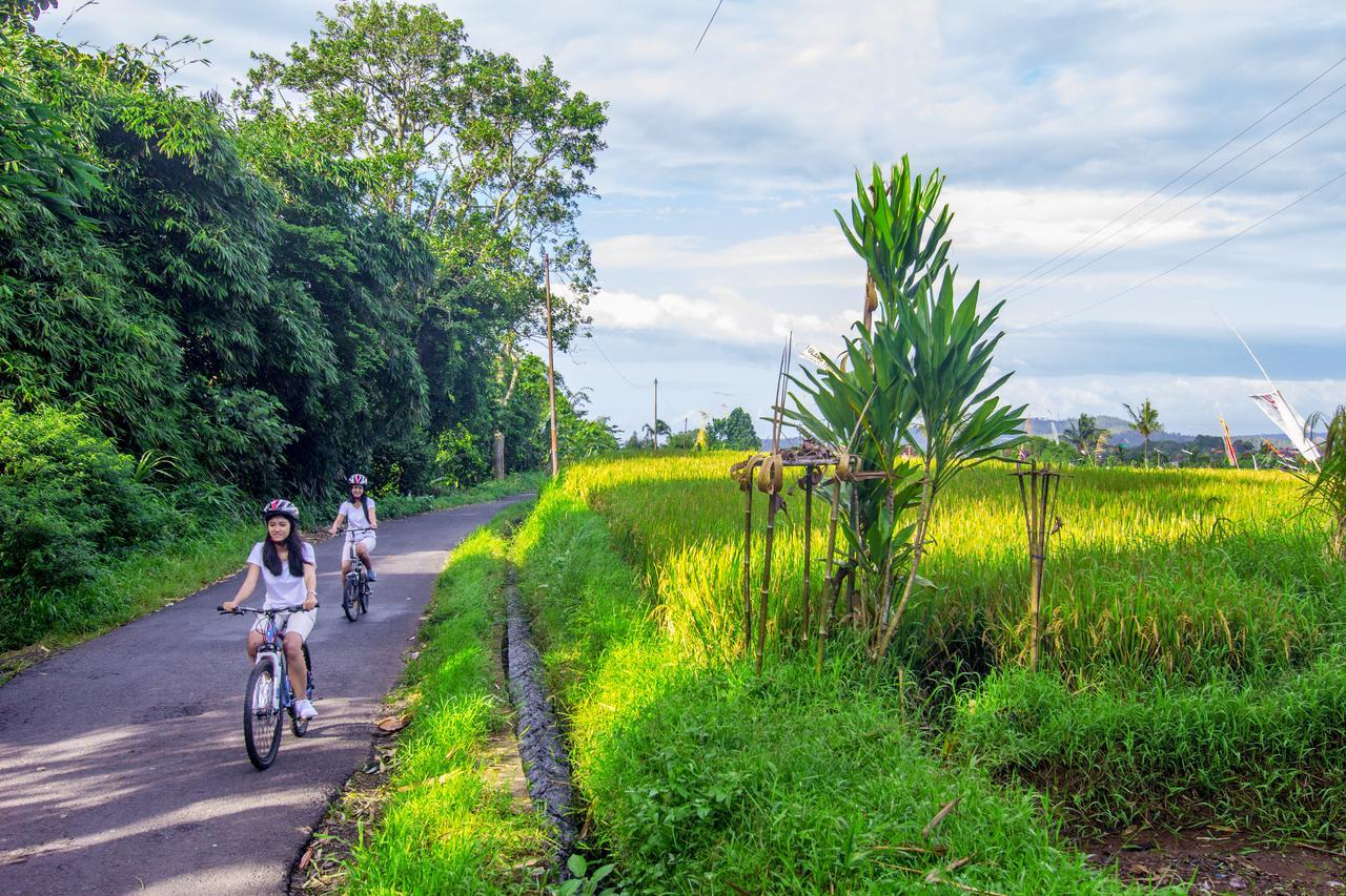Kebun Kita Eco Lodge Padangan  Eksteriør bilde